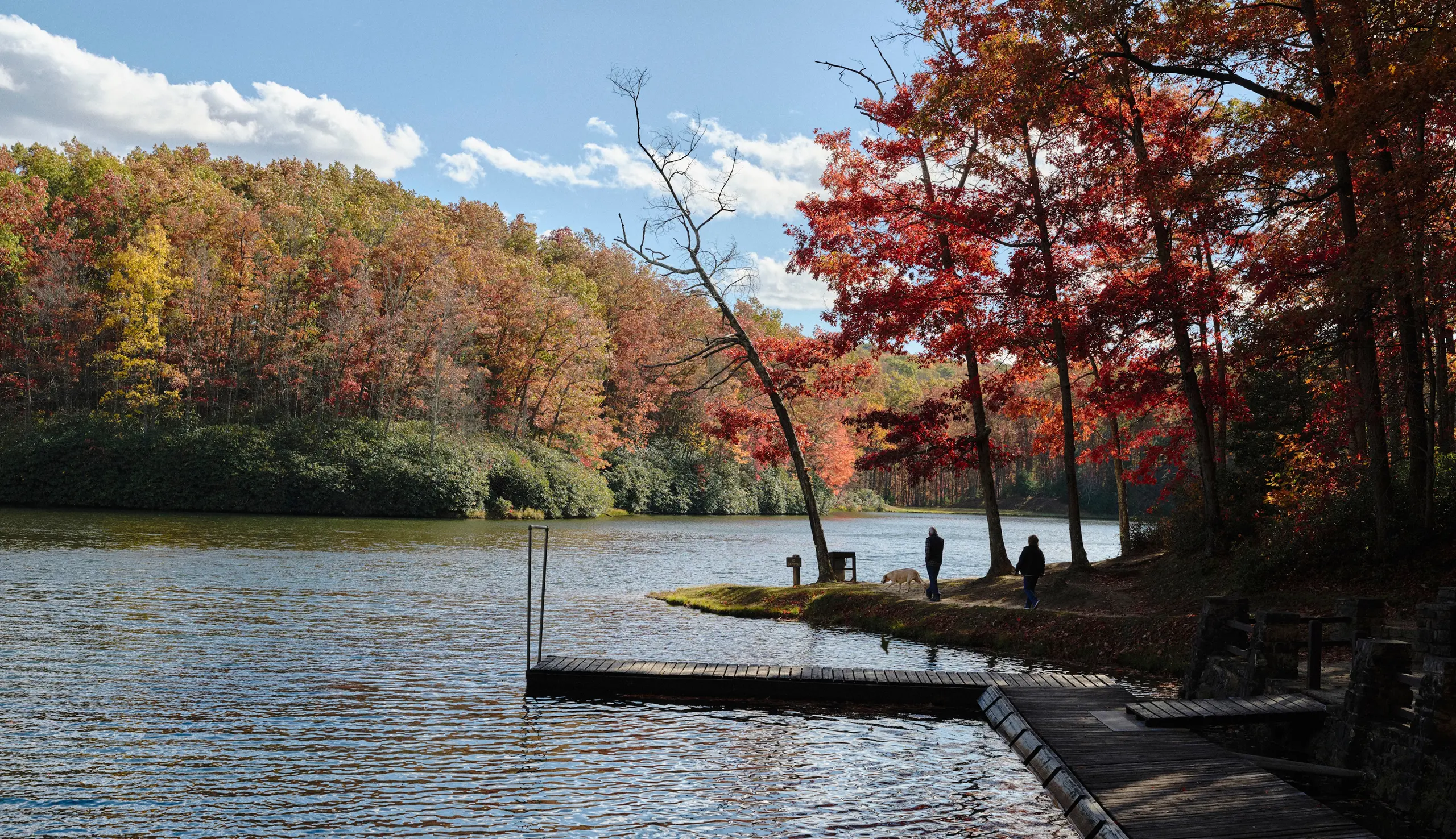 Two people walking a dog near a wooden dock by a lake surrounded by colorful autumn trees under a partly cloudy sky.