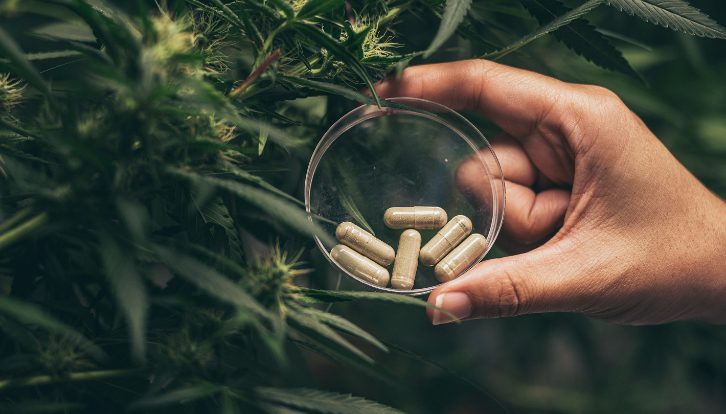 medical marijuana rescheduling and workplace accommodations