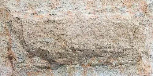 econiclay — Crossard Mushroom Stone — текстура PHOMI