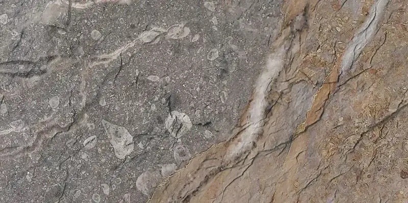 Mount Celestial — Rock Mottle Brown