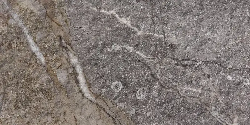 Polished Stone — Rock Mottle Brown