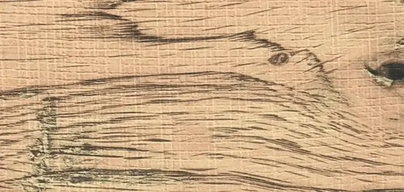 Sawtooth Wood — Orange