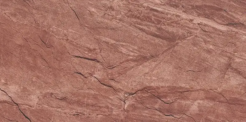 Mount Celestial — Mount Lion Reddish Brown