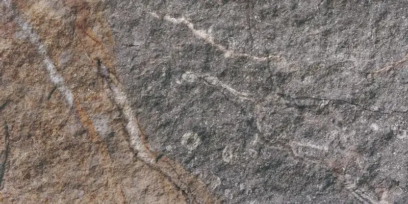 Rough Surface — Rock Mottle Brown