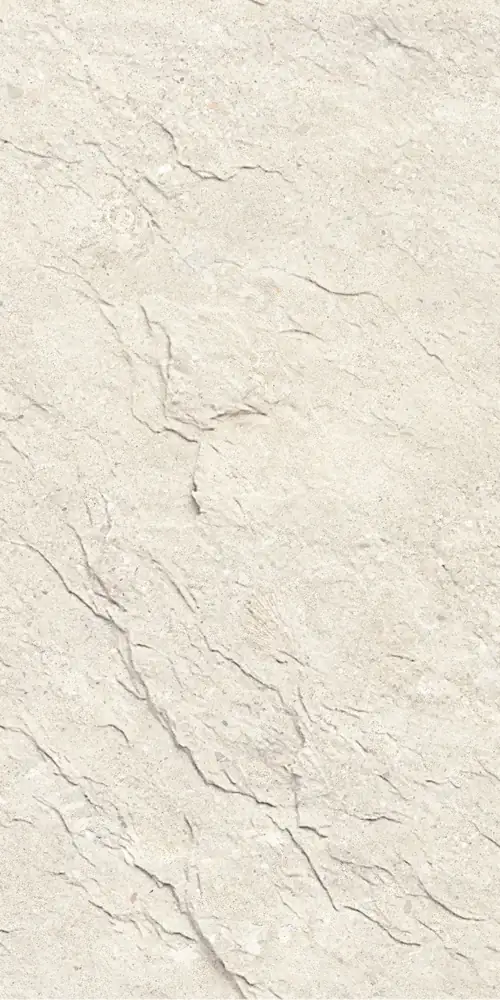 Mount Celestial — Shellfish Limestone Light Beige