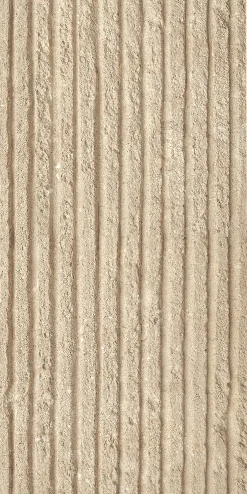 Flat Linear Stone — Shellfish Limestone Medium Yellow