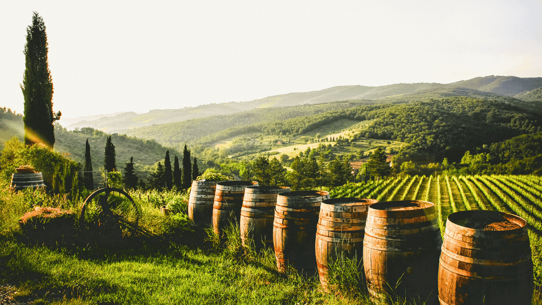 Vignes de Provence à parcourir à vélo électrique lors d'une sortie œnotouristique