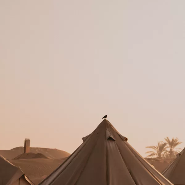 Terra Solis Dubai detail