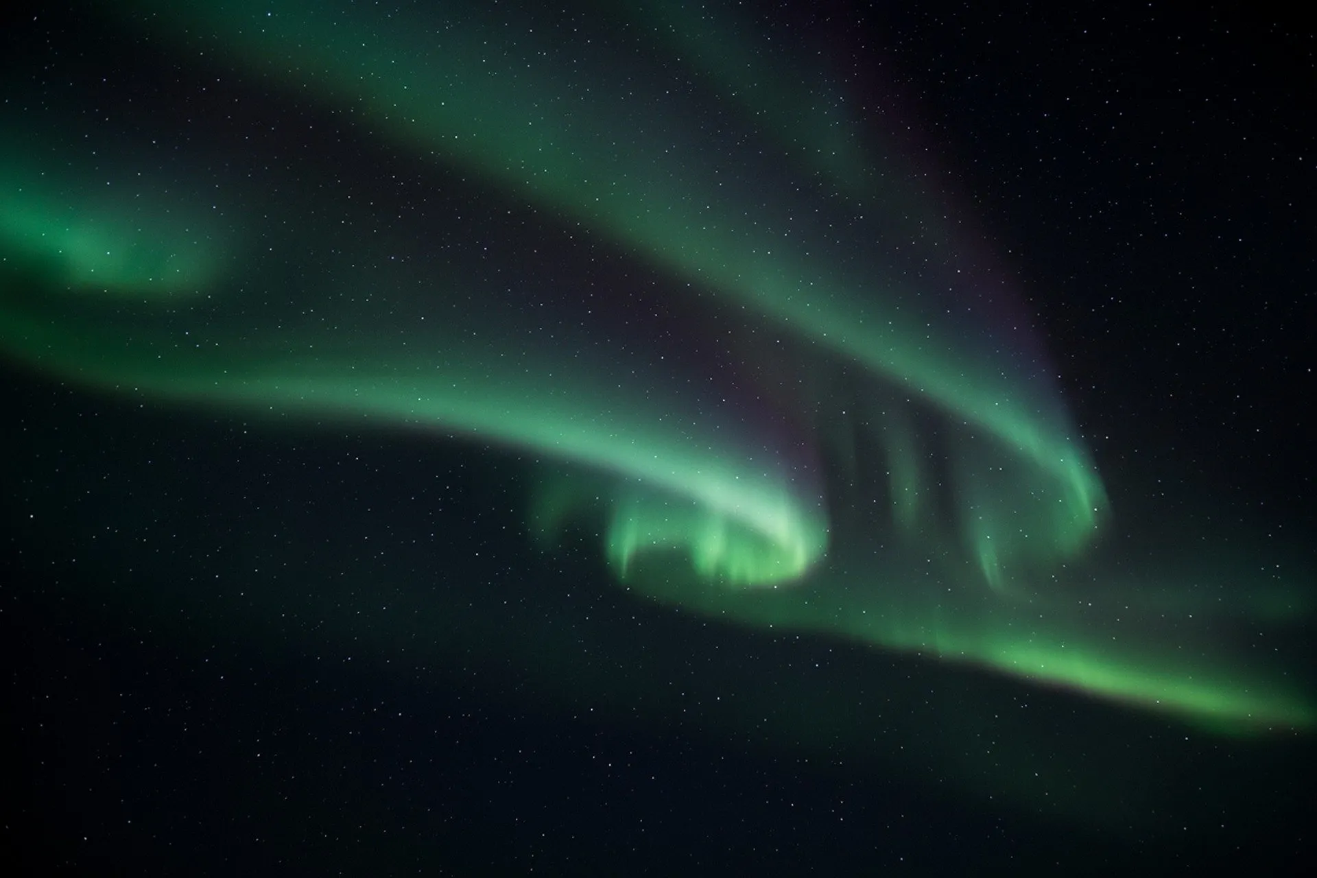 A crafted door-sign series showcasing precision, material quality, and clean modern design for offices.