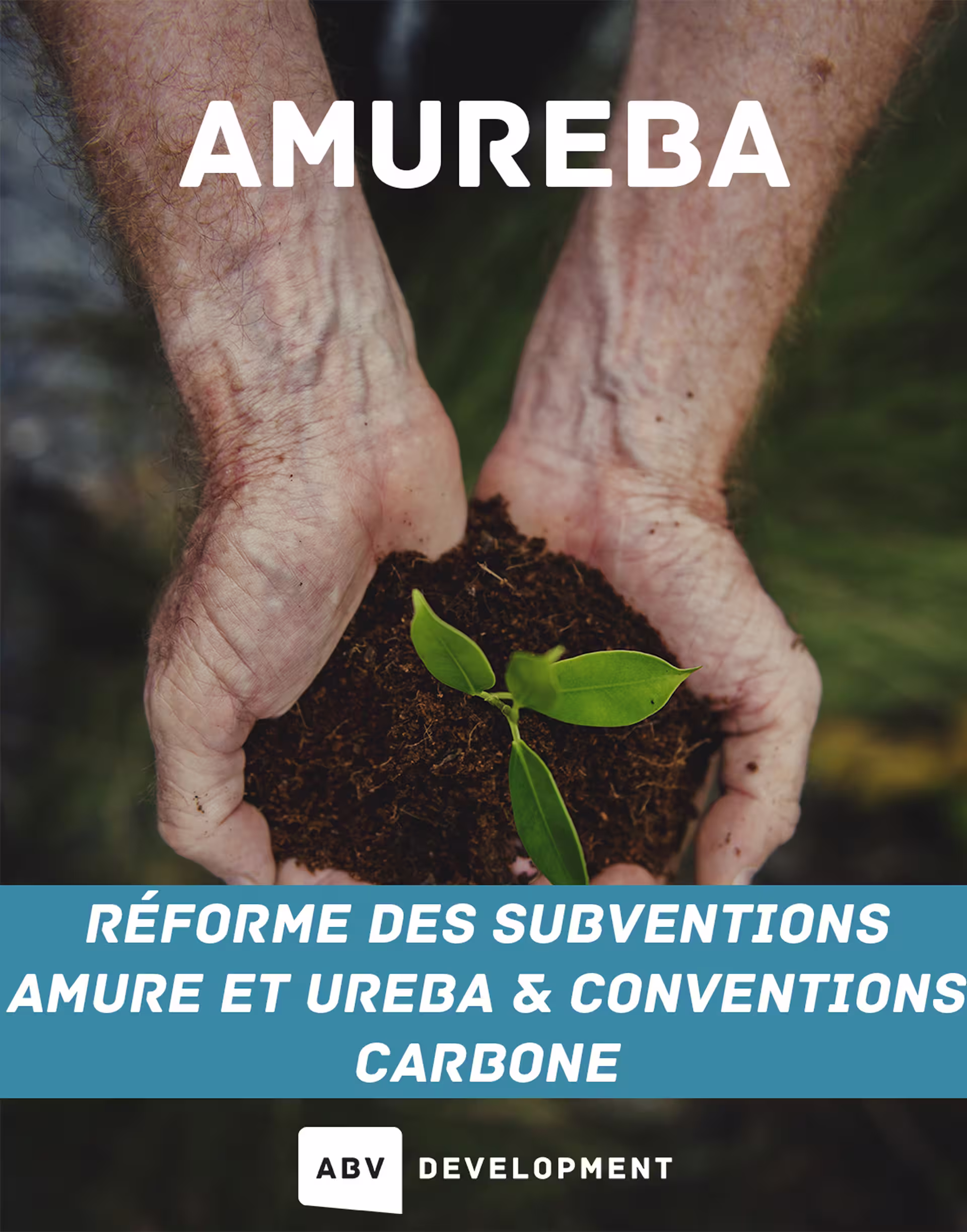 AMUREBA diagram on the reform of ABV subsidies — regional aid and Walloon investment financing