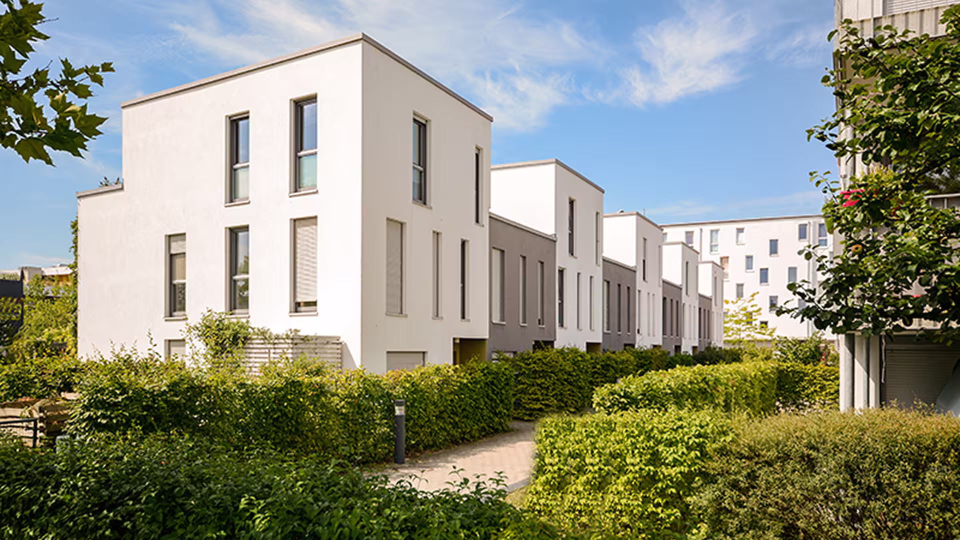 Lotissement de maisons modernes avec jardins – aménagement résidentiel, permis d'urbanisme et études environnementales préalables