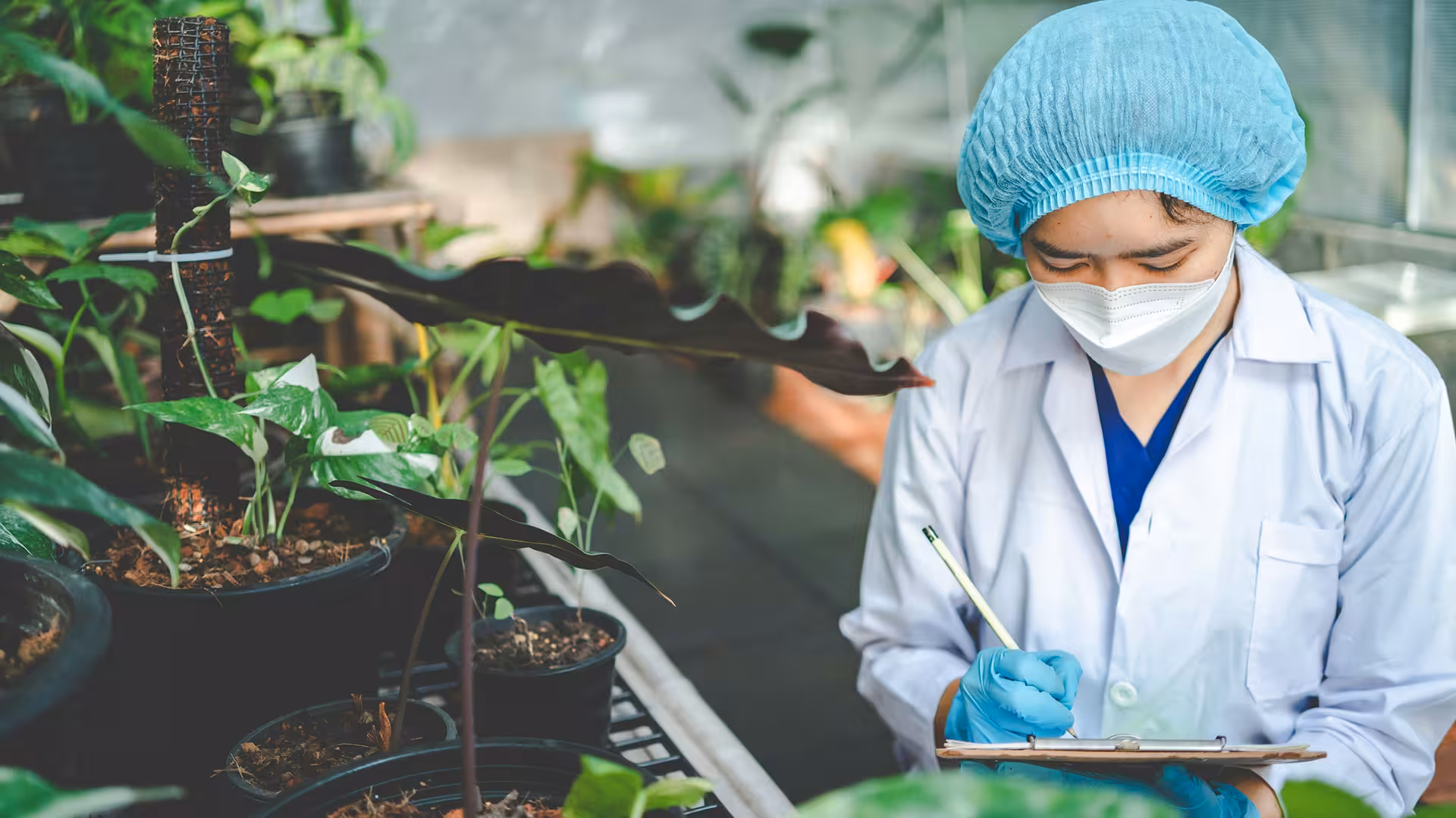 Chercheuse prenant des notes parmi les plantes dans une serre d'expérimentation