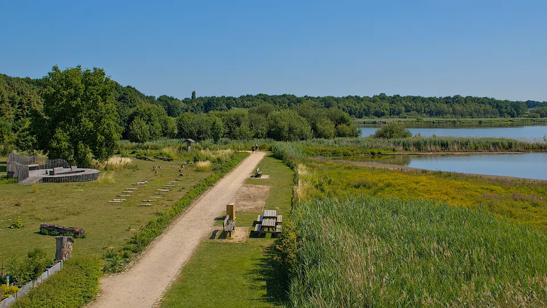 Sentier de réserve naturelle longeant un lac en été, illustration pour Évaluation approprié et natura 2000