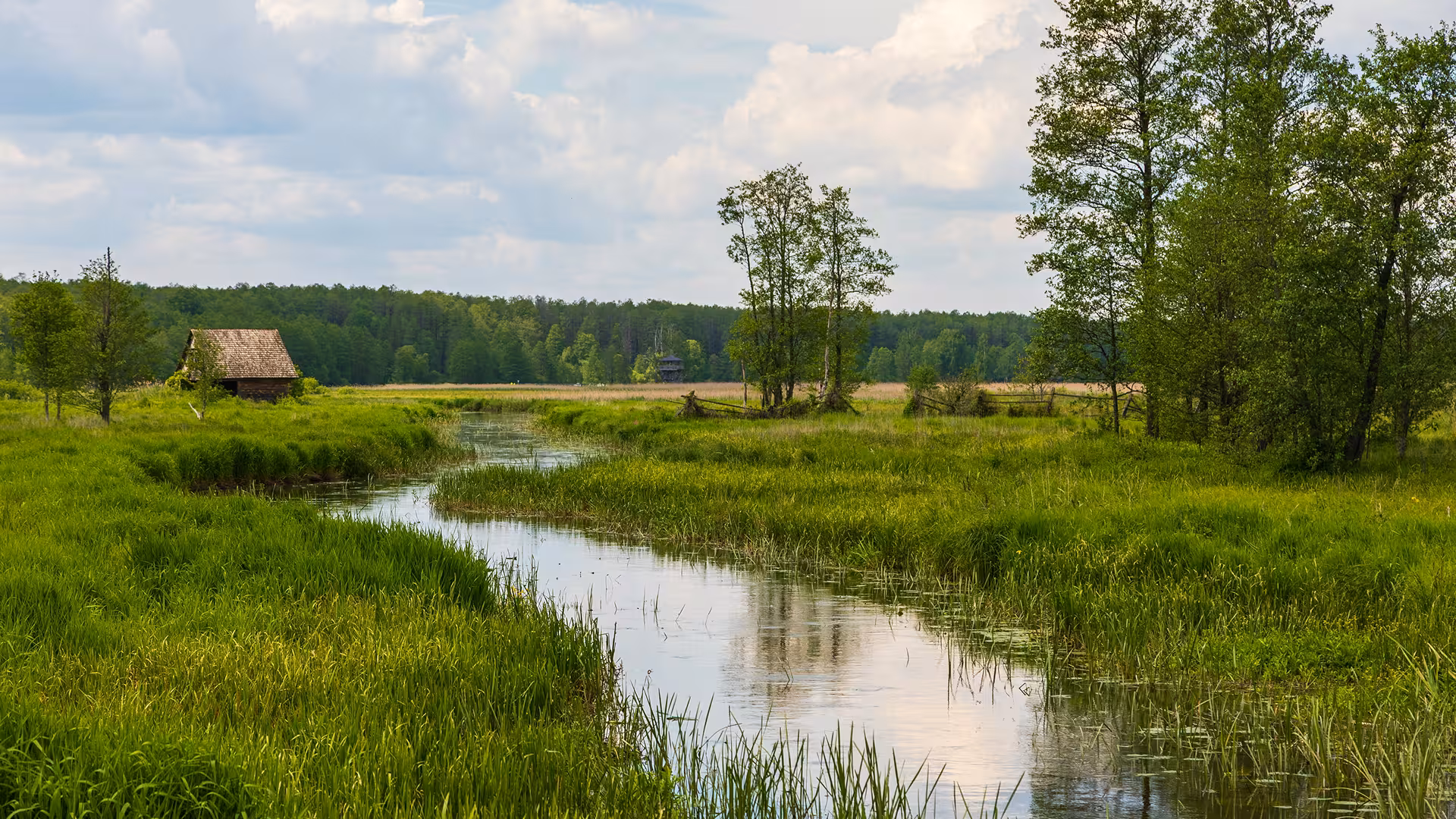 Rivière traversant une prairie verte avec une maison en bois en arrière-plan