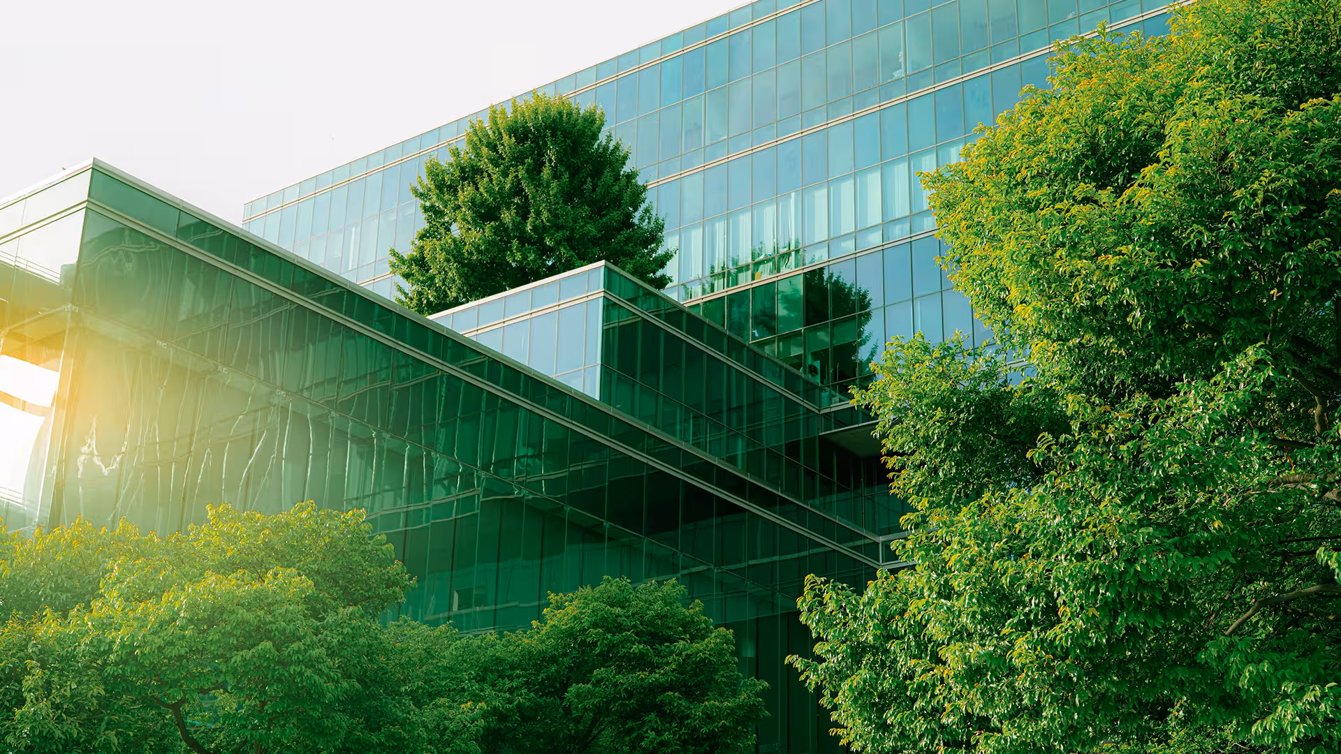Glass building crossed by a footbridge, surrounded by green trees, illustration for Biodiversity