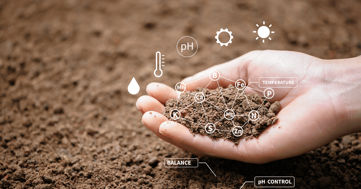 Cover image for the ABV Development Integrated Soil Management page