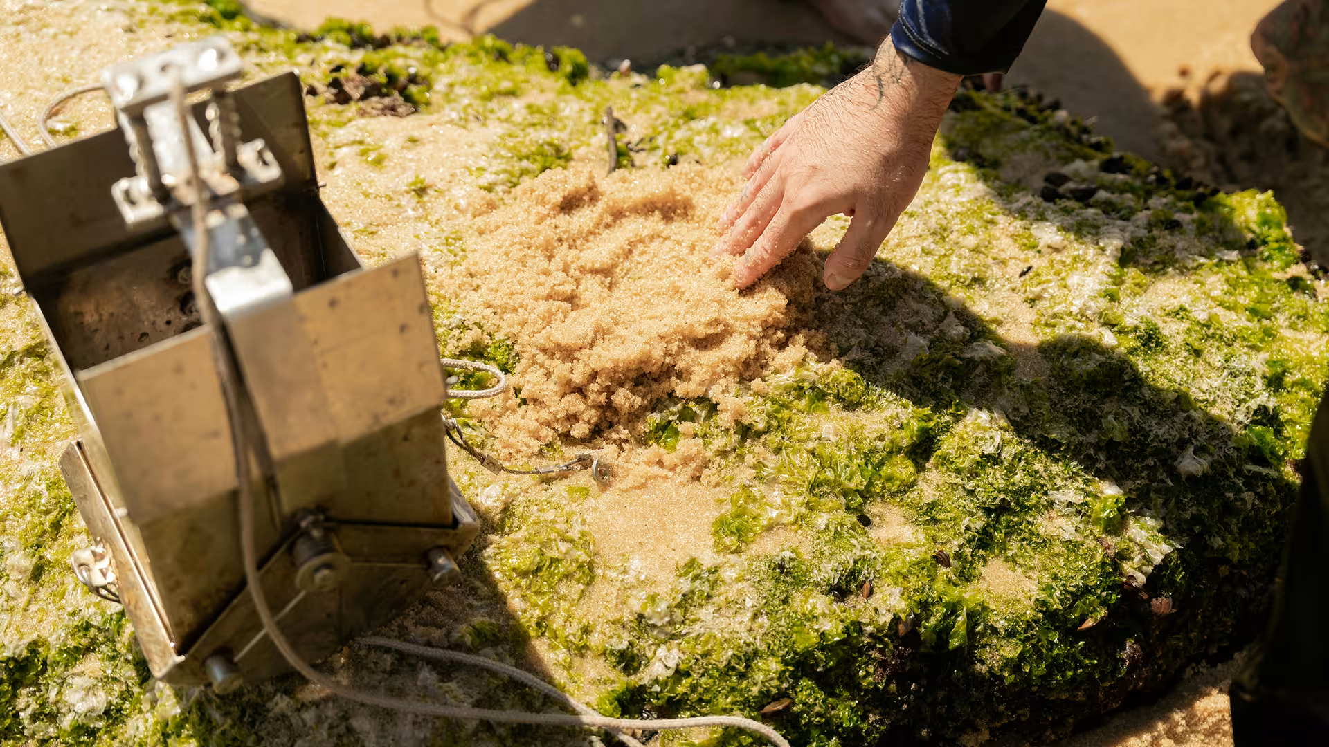 Hand met zand en mos in de buurt van een veldsensor, illustratie voor geïntegreerd bodembeheer