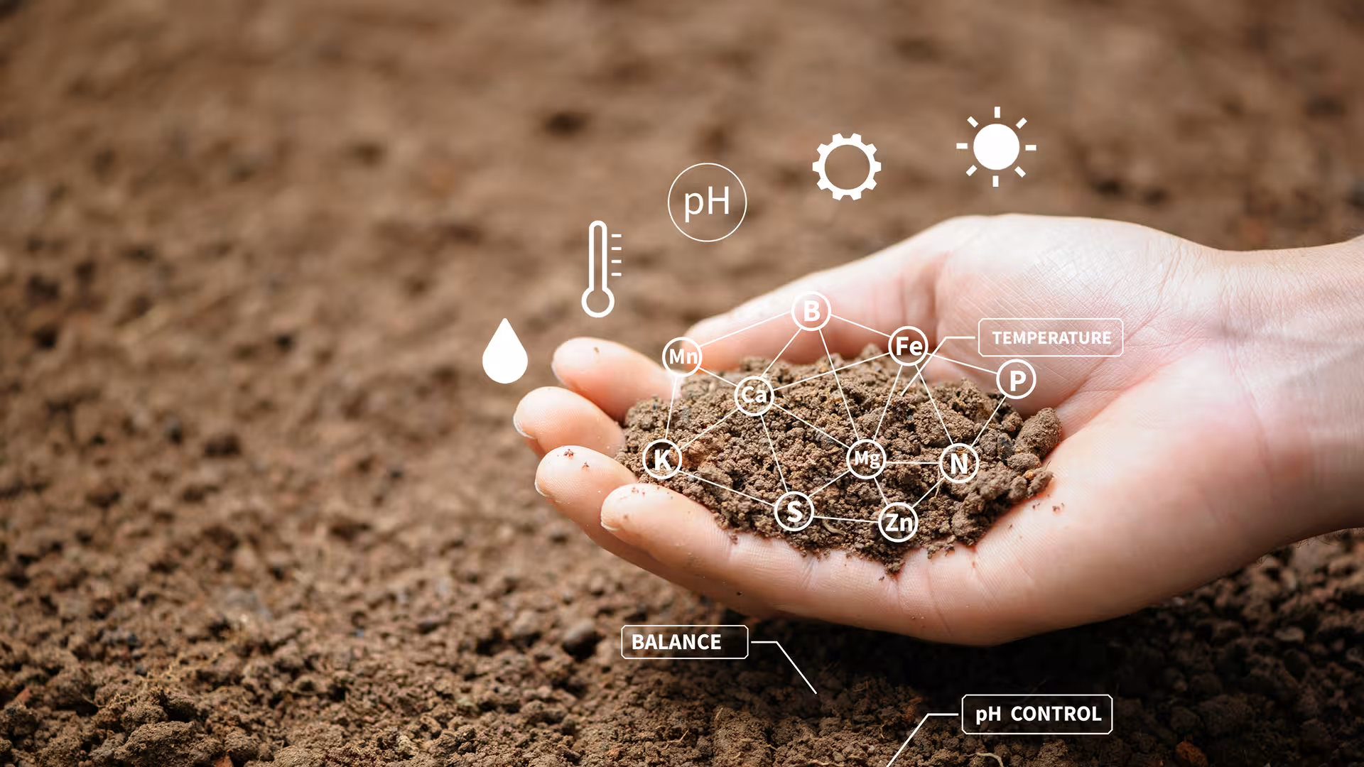Hand above ground with pH, nutrients and balance icons, soil analysis