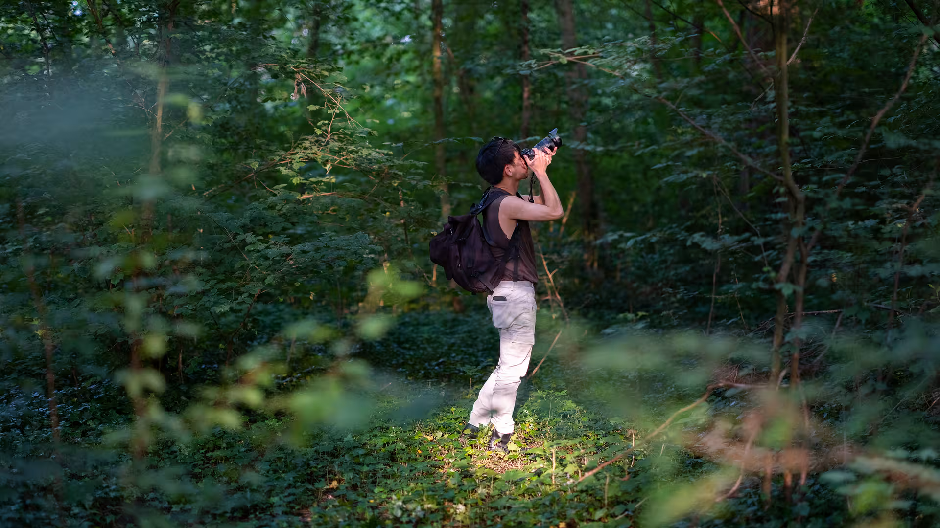 Naturaliste équipé d'un appareil photo dans une forêt dense et verdoyante