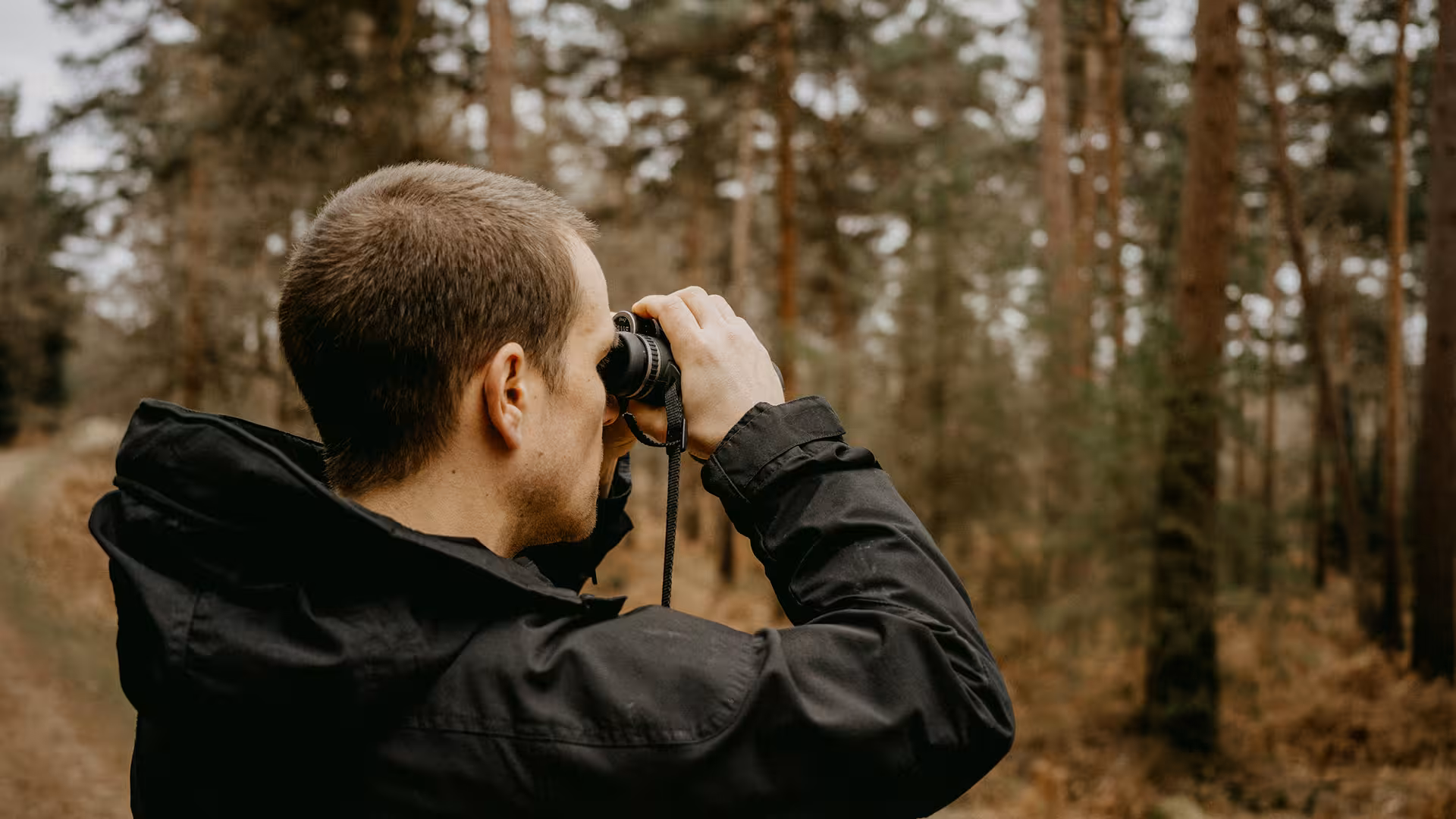 Homme observant à la jumelle dans une forêt de pins, mission d'inventaire