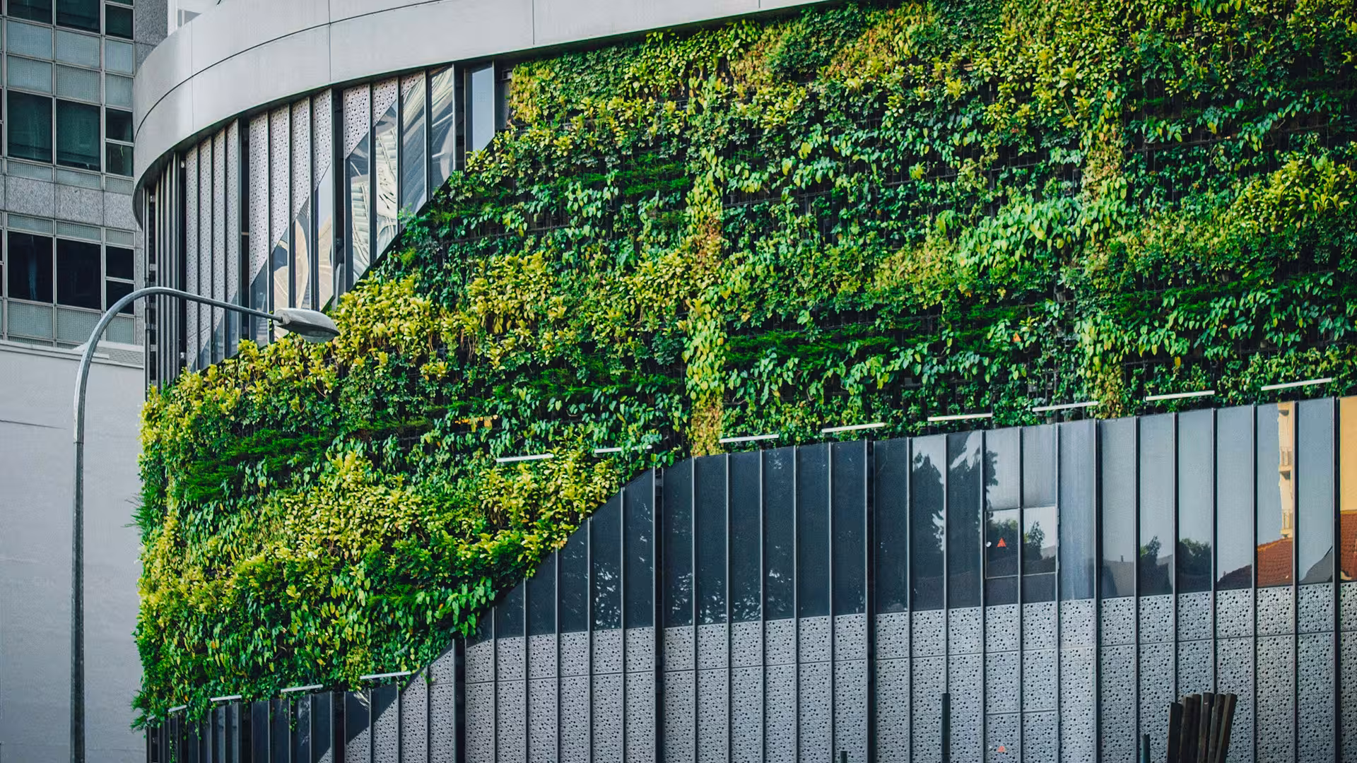 Mur végétal habillant la façade courbée d'un bâtiment moderne, illustration pour Labellisation (BREEAM, DGNB, HQE)