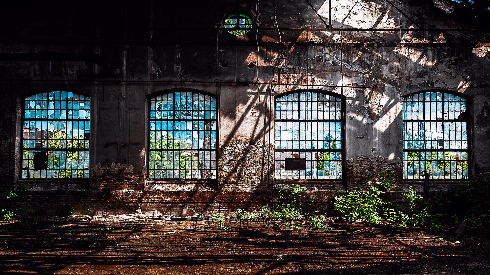 Intérieur d'une usine abandonnée avec grandes fenêtres en verre cassé et plantes sauvages qui poussent.