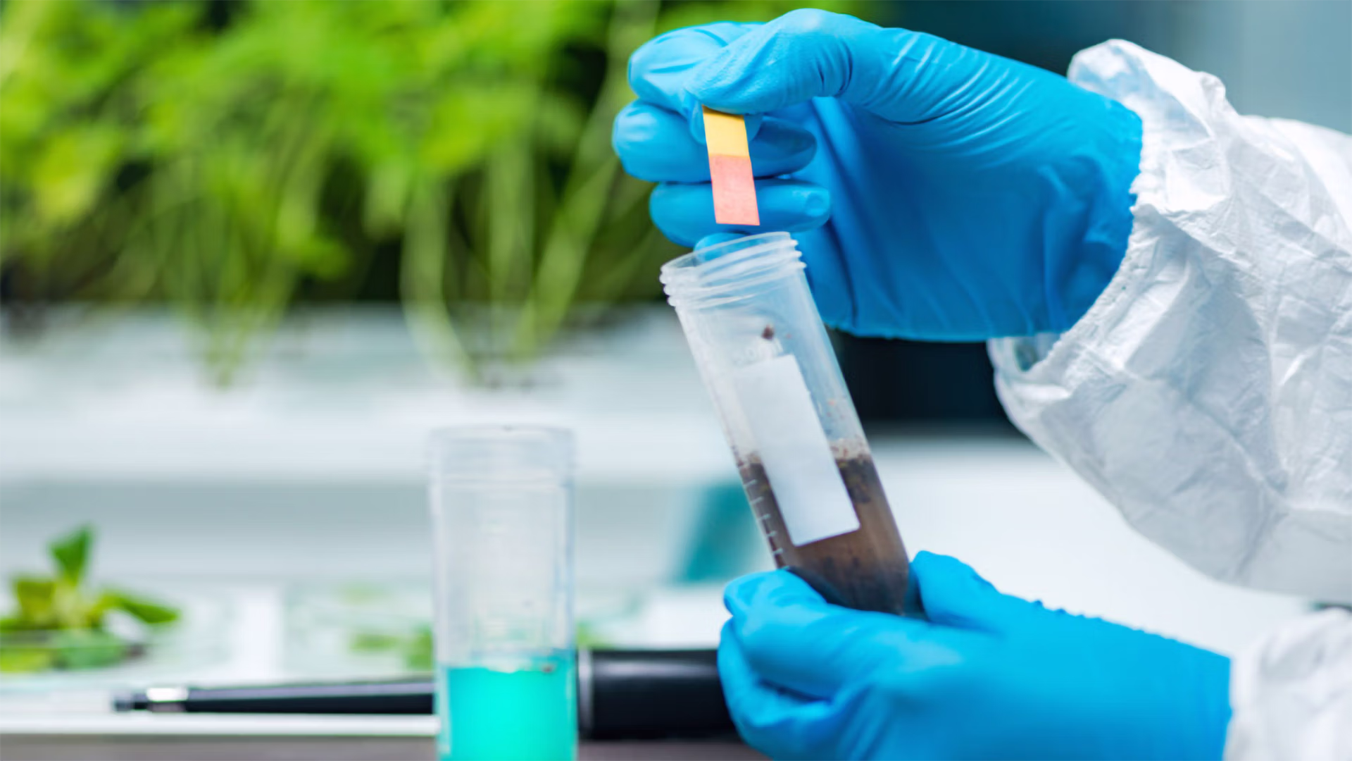 Mains gantées comparant une bandelette pH à un échantillon de sol en tube lors d'une analyse en laboratoire
