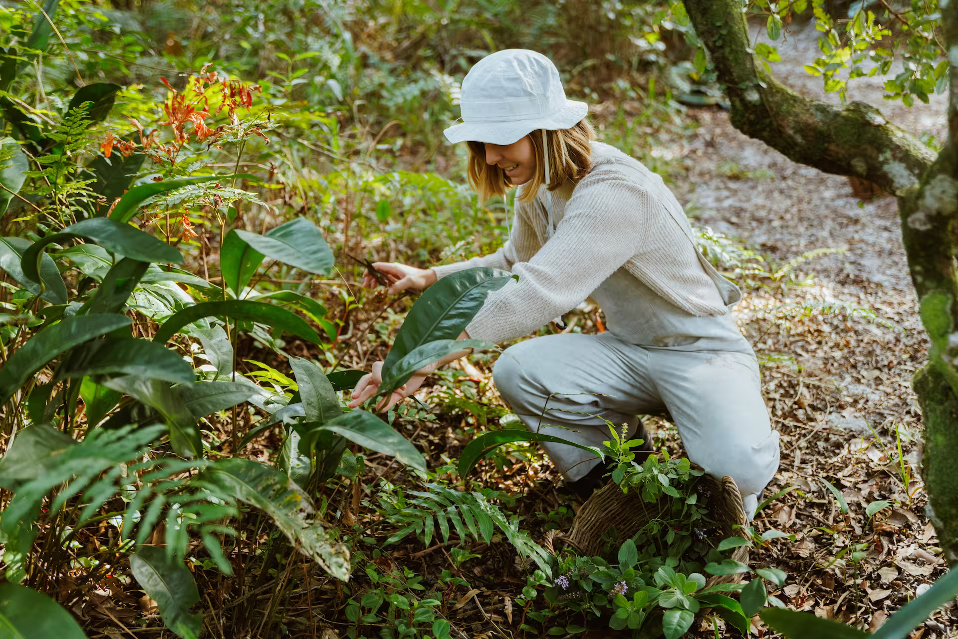 Personne agenouillée dans un jardin boisé, portant un chapeau clair et des vêtements de couleur beige, en train de récolter ou d’inspecter des plantes parmi une végétation dense et verdoyante.