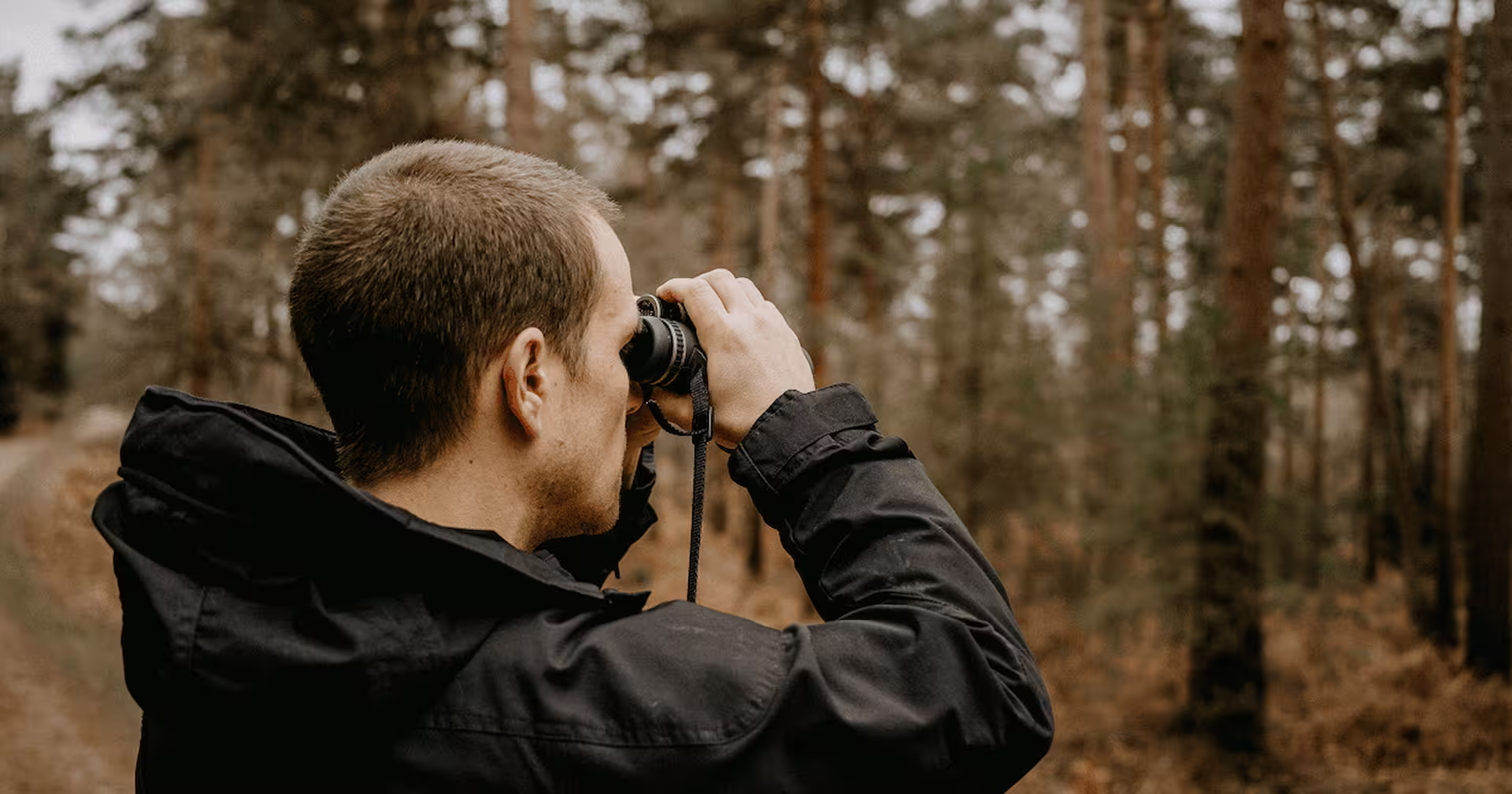 Observation de la faune et de la flore en milieu forestier. Une personne utilise des jumelles pour réaliser un inventaire naturaliste ou une étude de biodiversité au cœur d’une forêt. Cette scène illustre le suivi écologique, la surveillance des espèces et