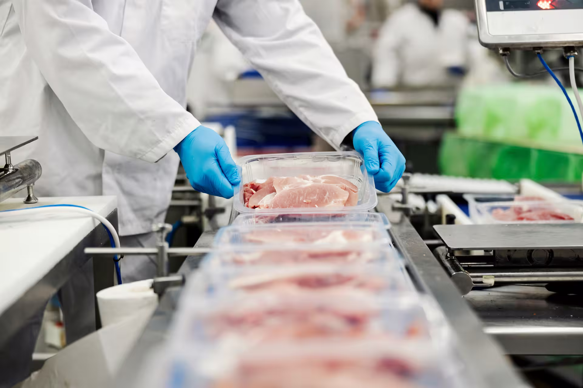 Factory worker in a white coat and blue gloves placing trays of fresh meat onto a packaging conveyor belt.