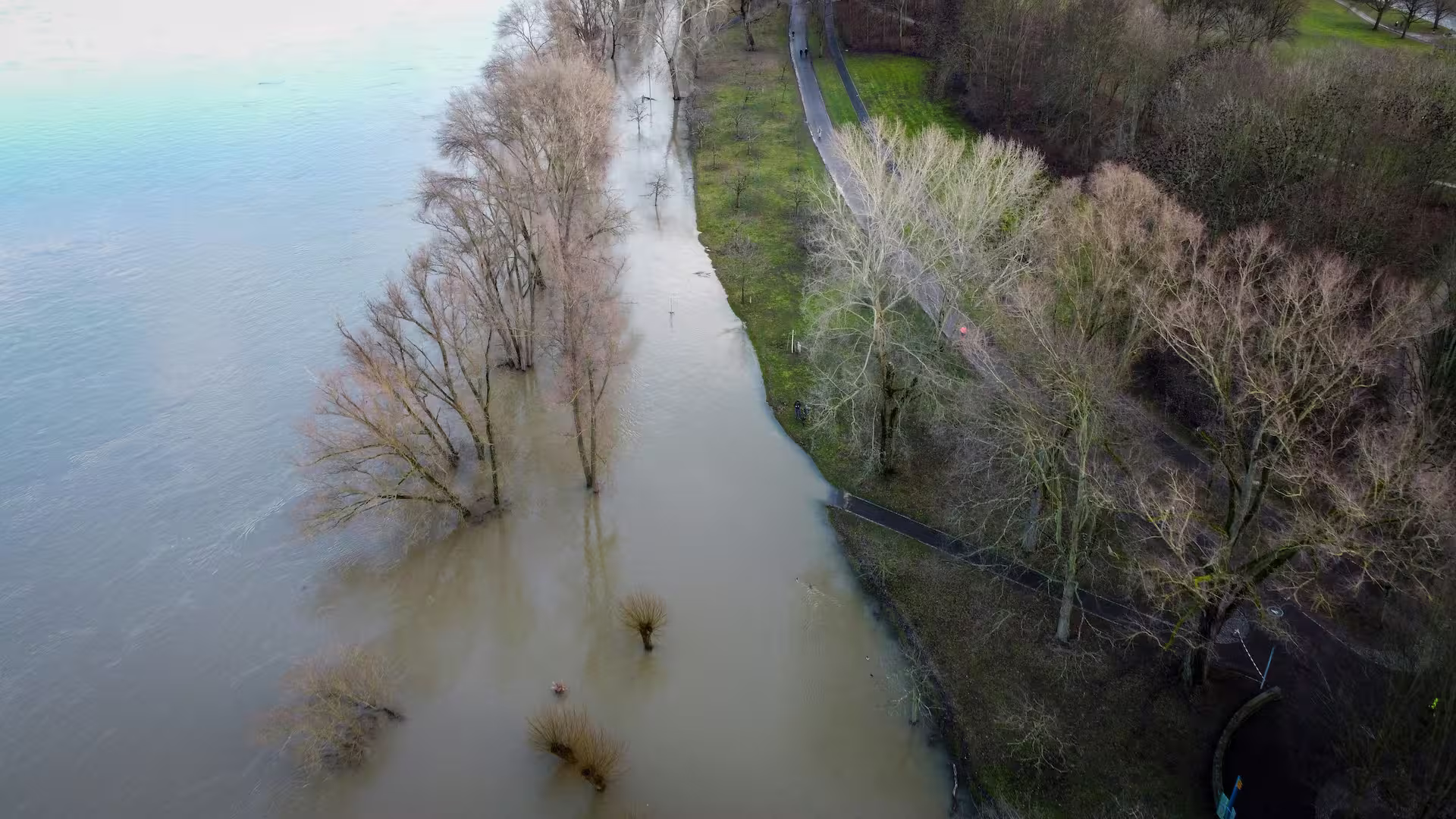 Luchtfoto van een overstromende rivier die de oever en omliggende bomen onder water zet.
