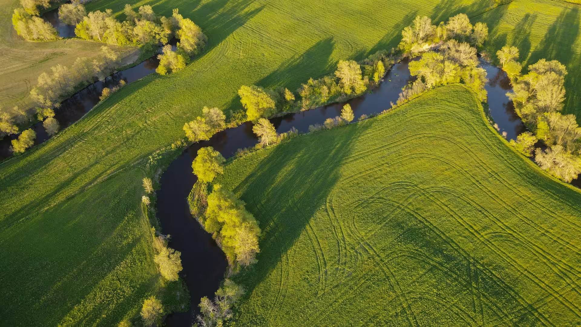 Luchtfoto van een meanderende rivier die door groene velden kronkelt, als voorbeeld van de remeandering van een waterloop.