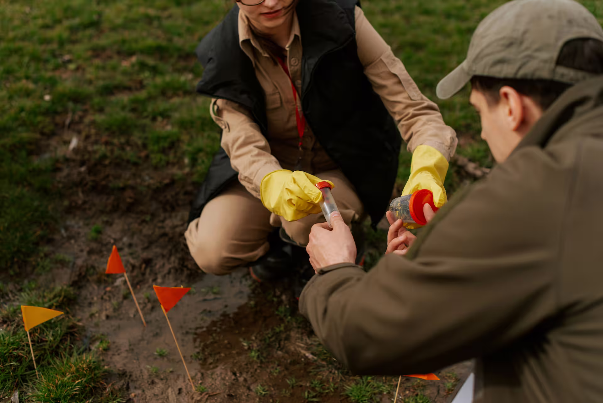 Scientifiques de terrain prélevant des échantillons de sol et d'eau sur une zone balisée avec de petits drapeaux.