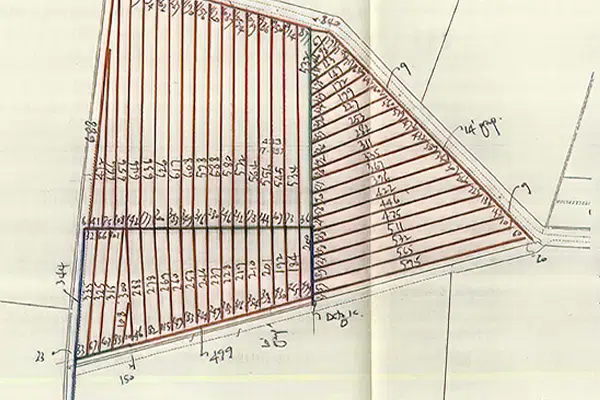 A technical drawing of a plan