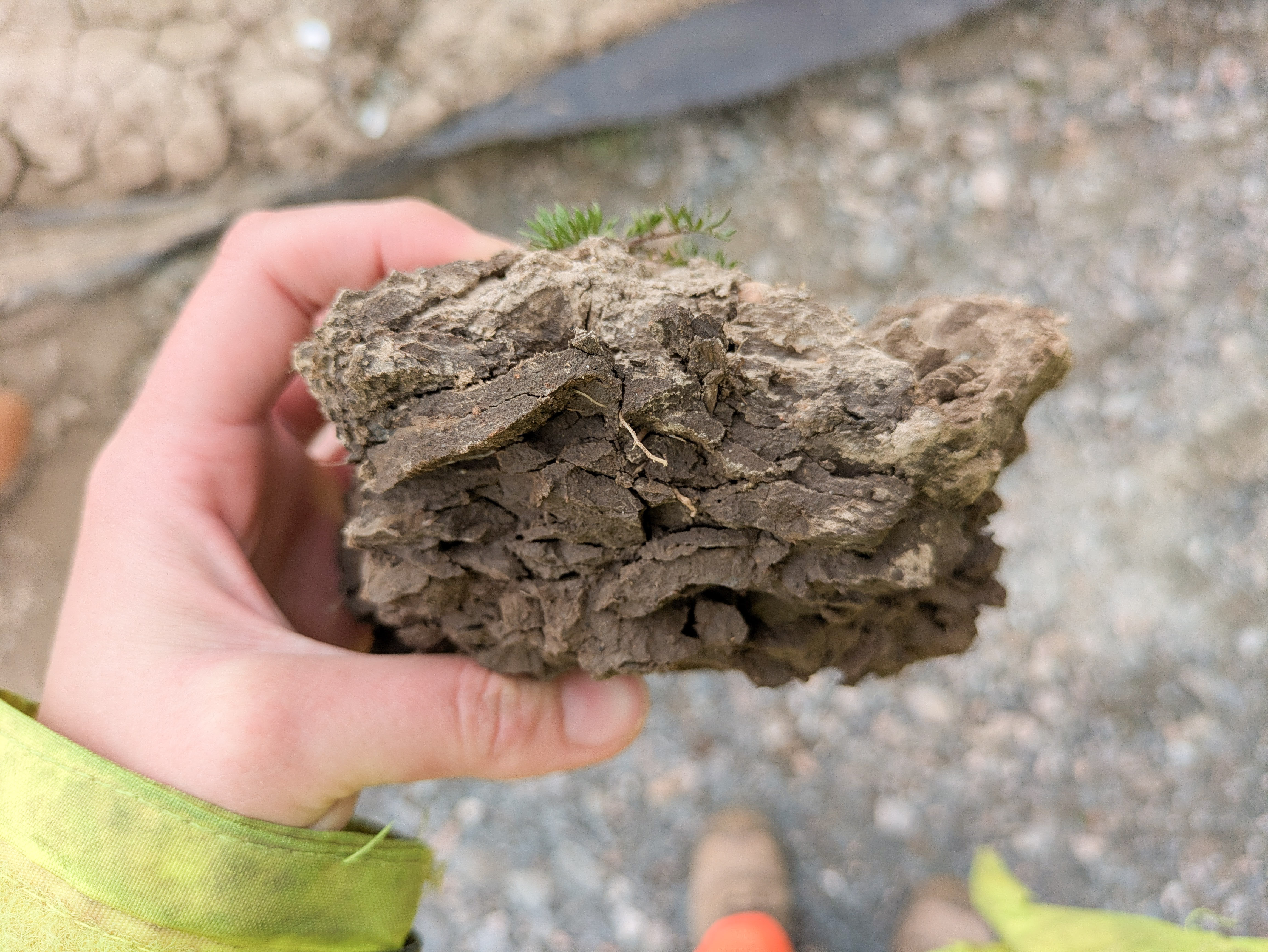 Topsoil