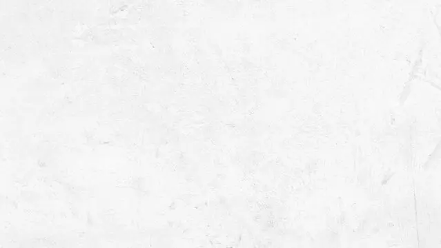 Plain white textured surface with faint cracks and blemishes.