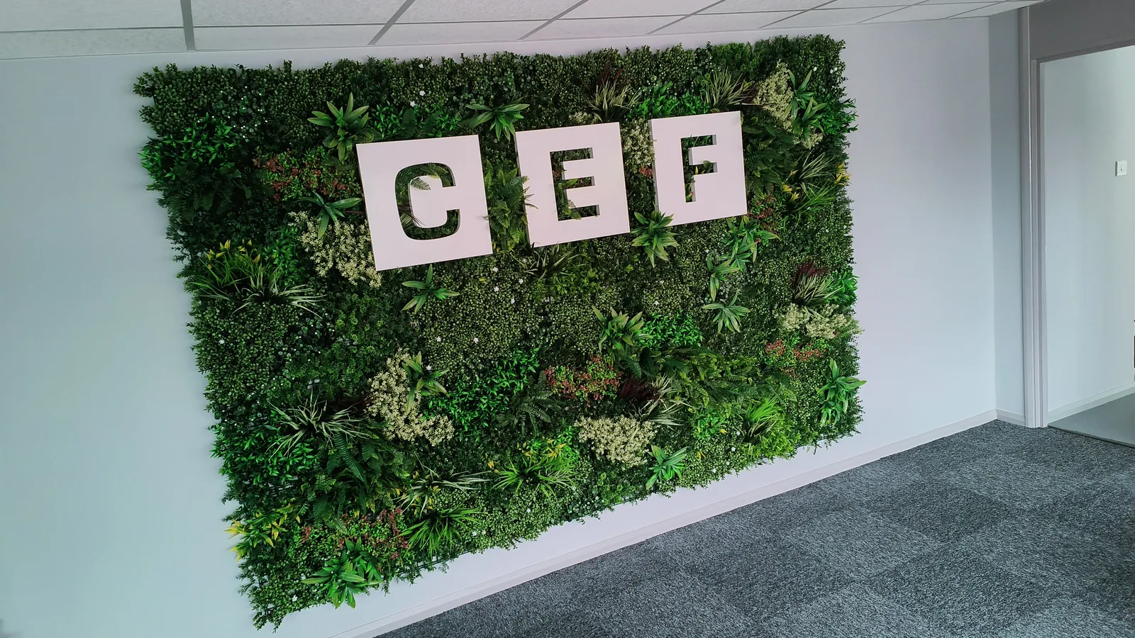 Green living wall with CEF logo letters in an office