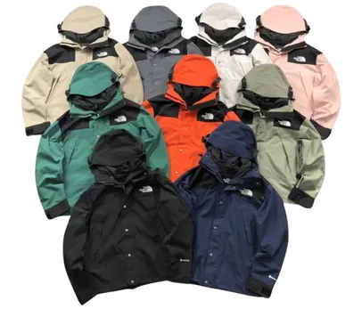 North Face Gore-Tex Jacket #1