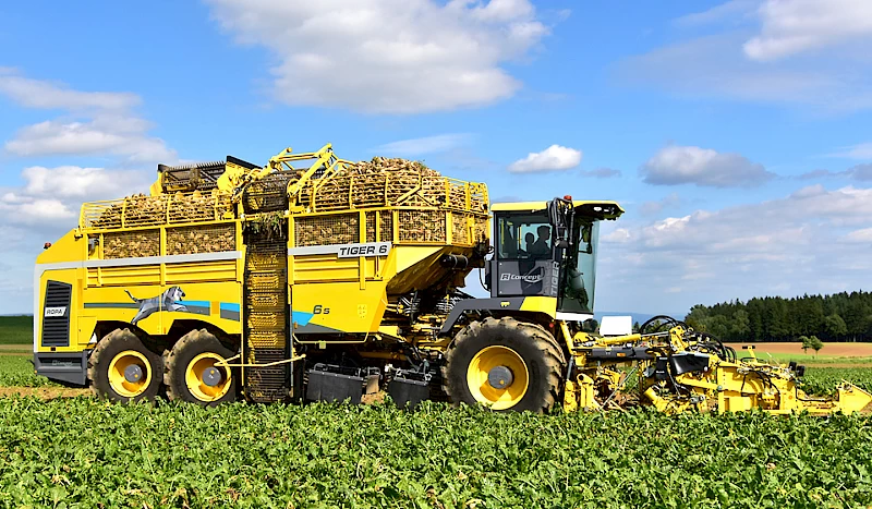 A ROPA Tiger 6S harvesting sugar beets in a field viewed from the left side of the machine