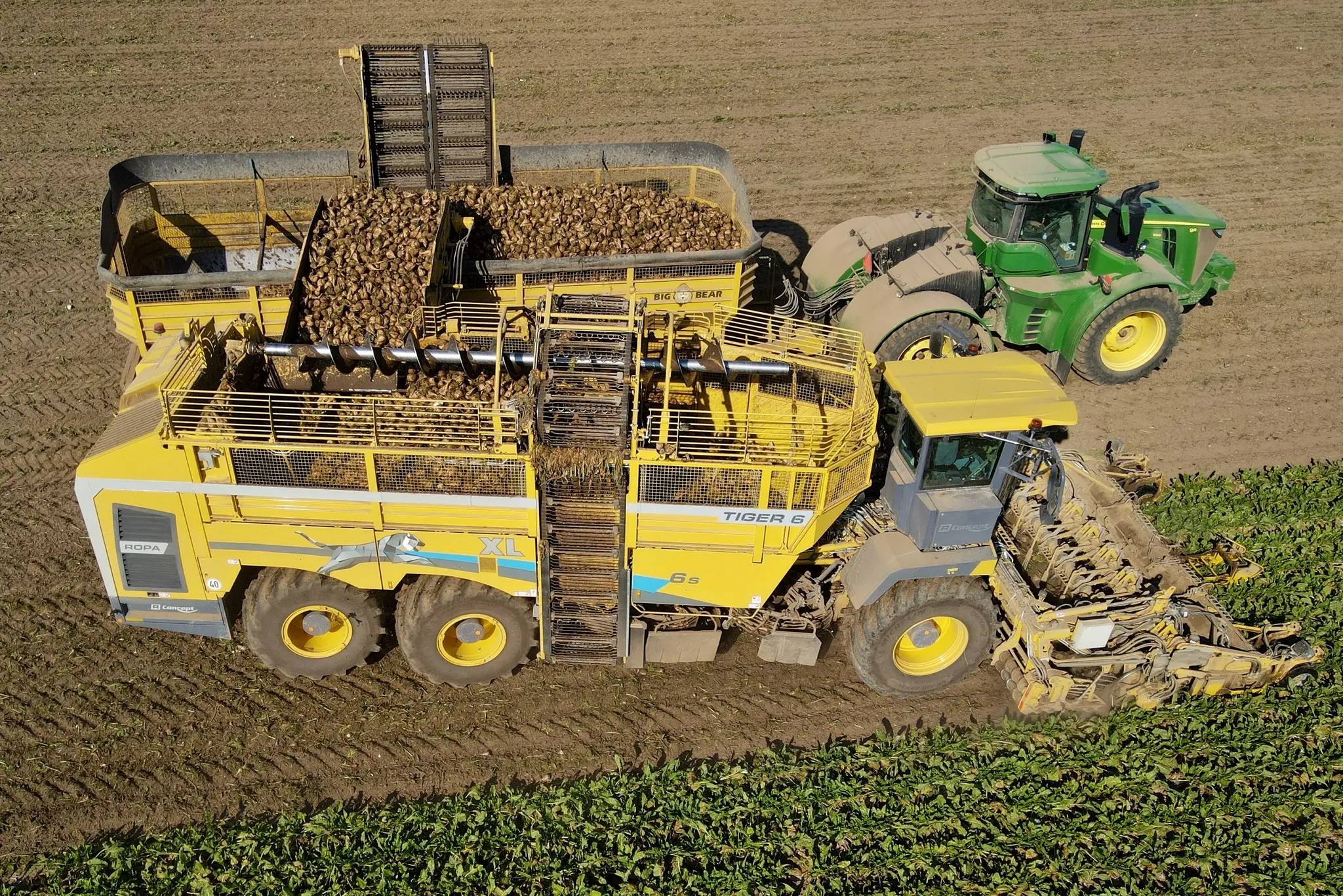 A ROPA Tiger 6S unloading sugar beets into a Big Bear sugar beet cart pulled by a John Deere 9R series tractor