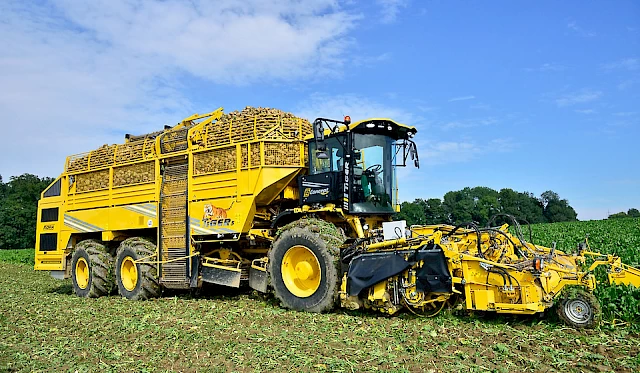 A ROPA Tiger 5 harvesting sugar beets in a field