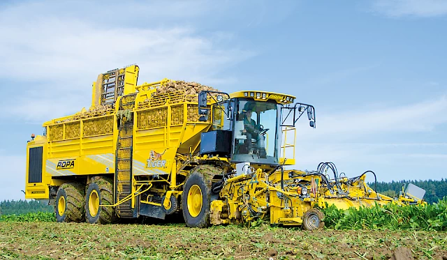 A Euro-Tiger V8-4 harvesting sugar beets in a field