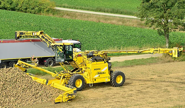 A ROPA Maus 5 loading sugar beets from a field pile onto a truck
