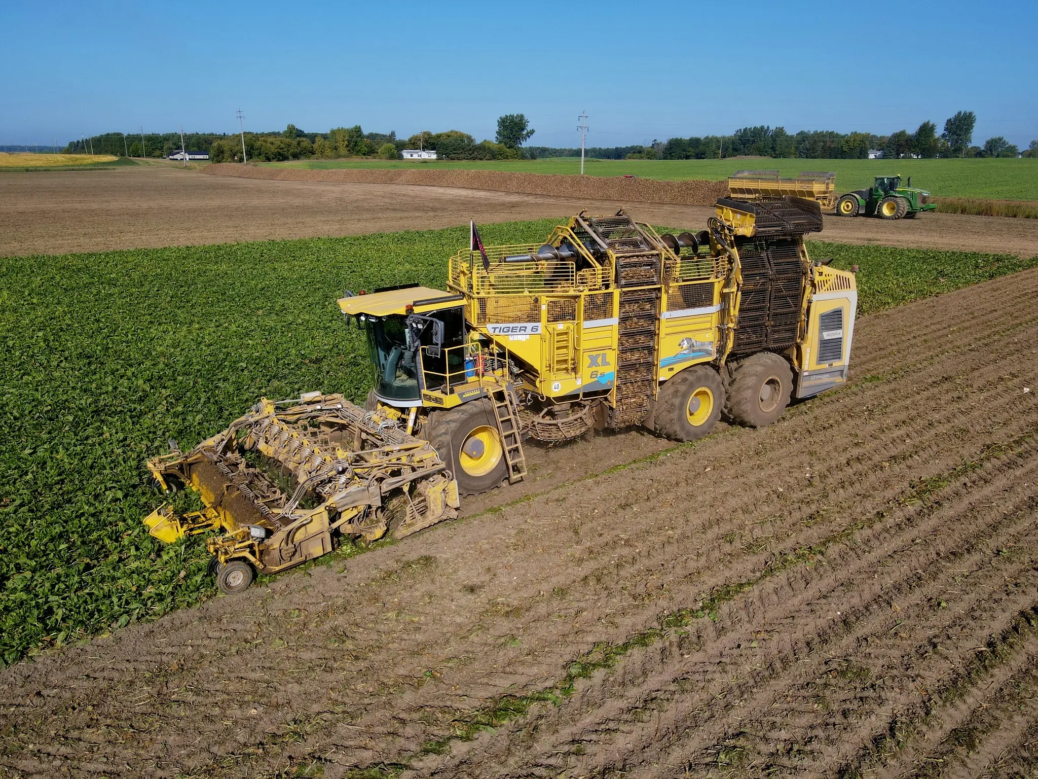 A ROPA Tiger 6S harvesting sugar beets in a field