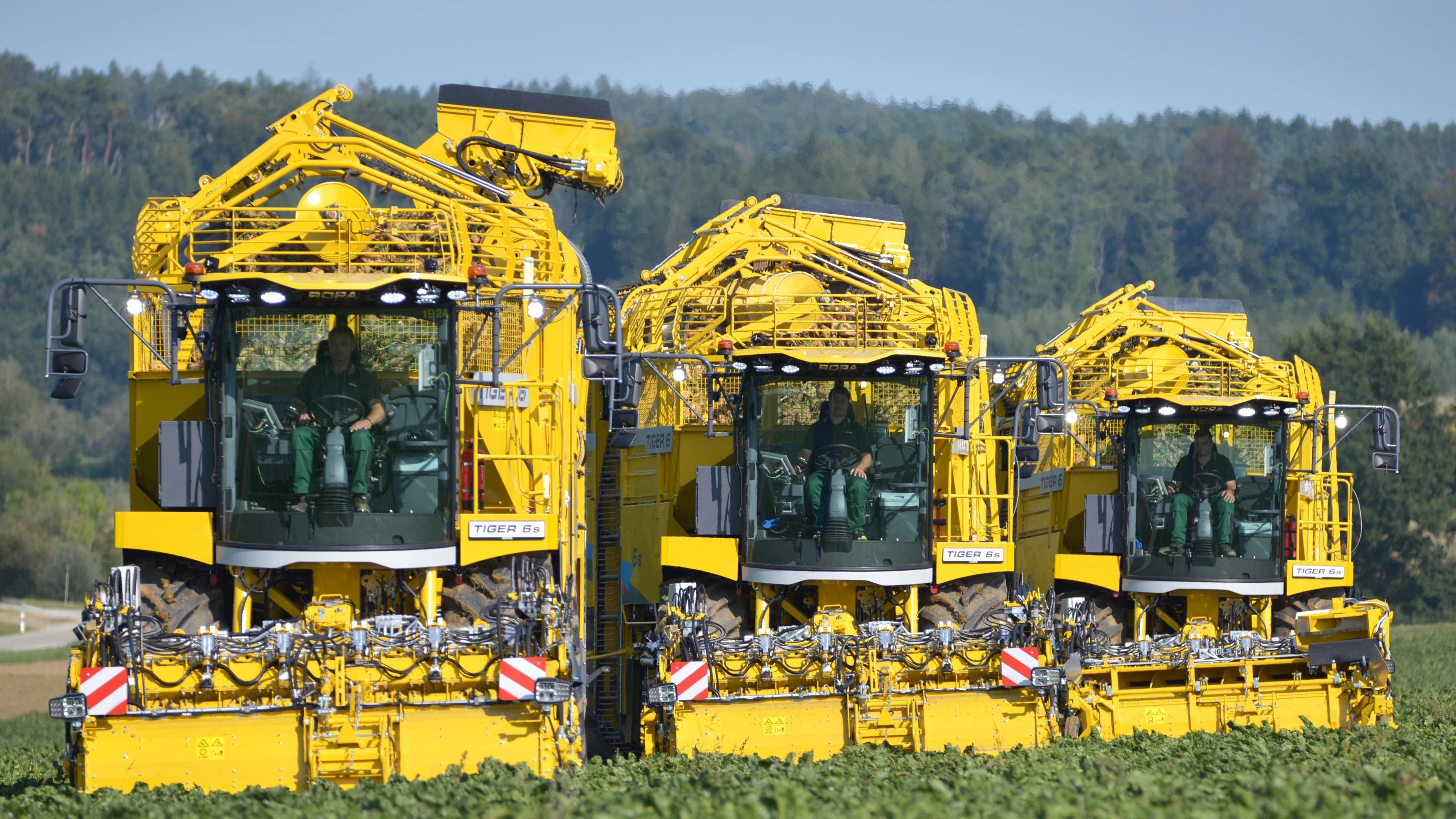Three ROPA Tiger 6S harvesting sugar beets in a field viewed from in front of the machines