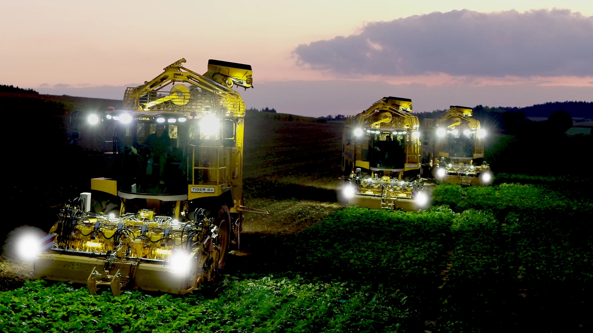 Three ROPA Tiger 6S harvesting sugar beets in a field at dusk with bright LED lights illuminating the work area