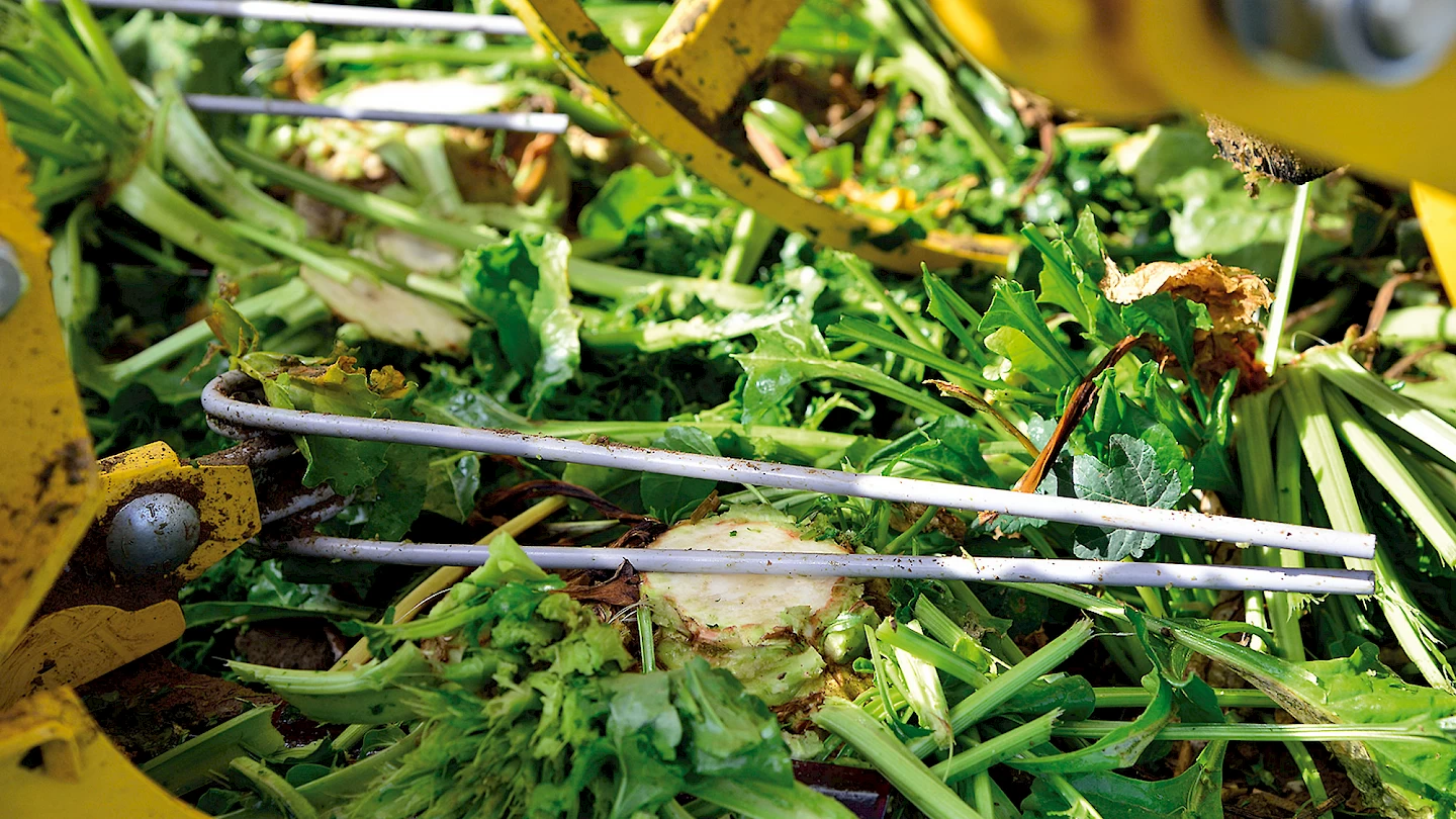 A side-view of the ROPA micro-topper removing a scalp from sugar beets on a ROPA Tiger 6S