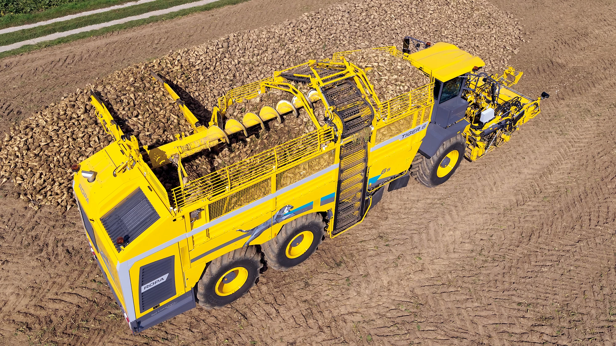 An isometric view of a ROPA Tiger 6S unloading sugar beets onto a field pile