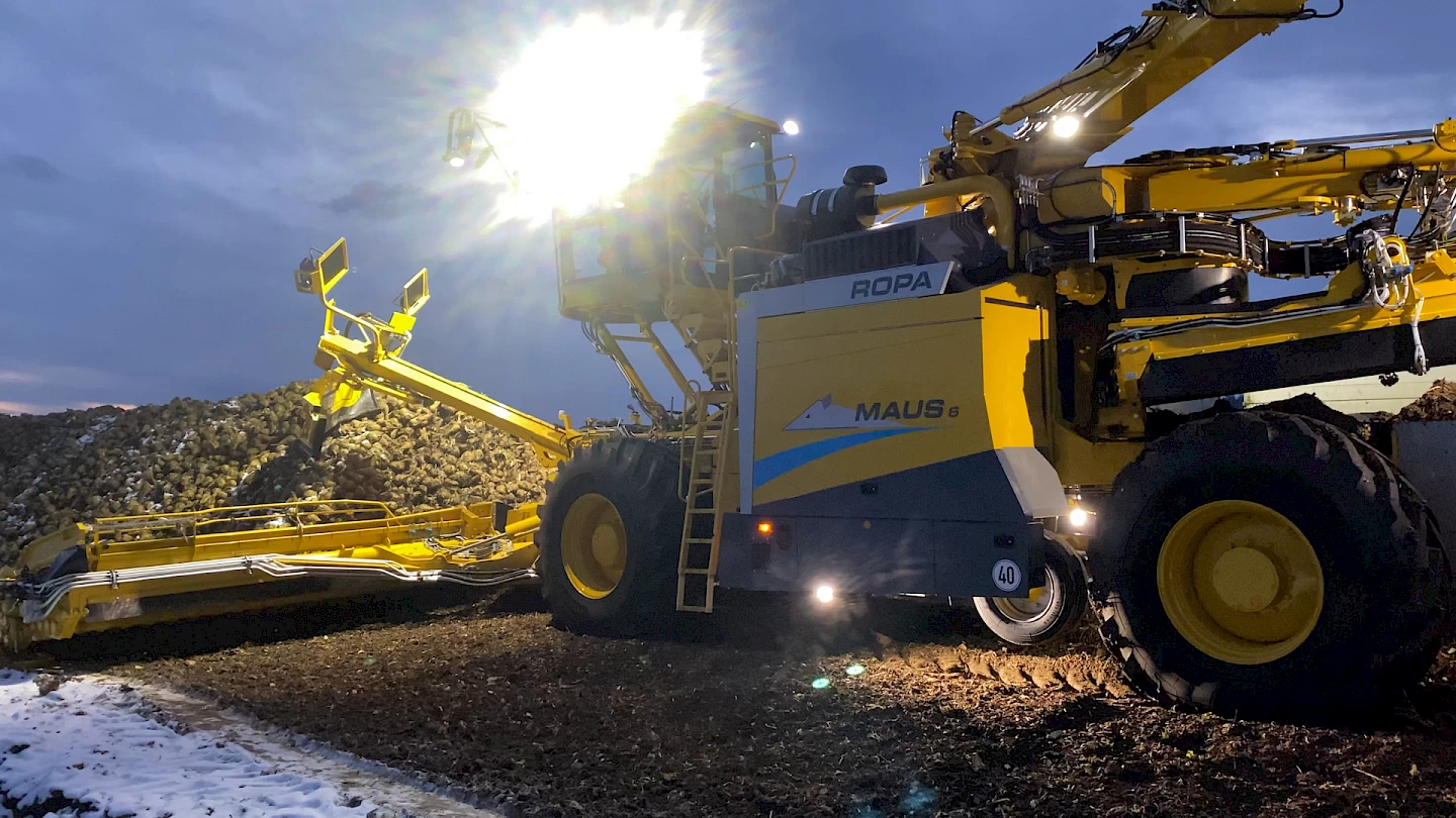 A ROPA Maus 6 loading sugar beets from a field pile with lights on at dusk.