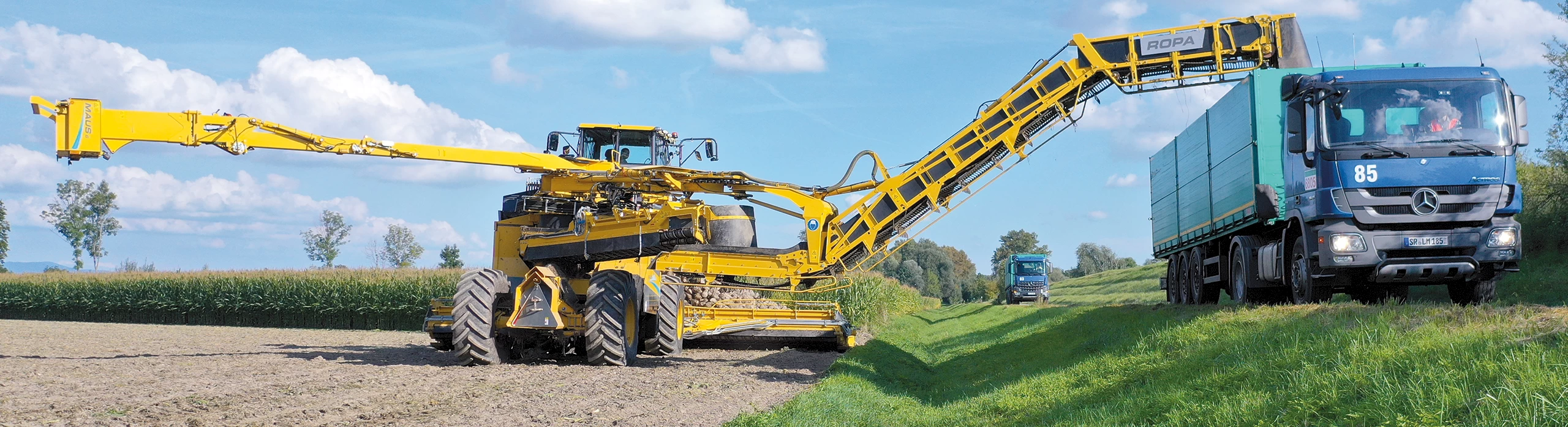 The rear of a ROPA Maus 6 loading a truck with sugar beets, showcasing the long, unloading conveyor and the unique counter-balance concept.